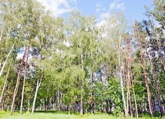 Продажа земельного участка, 51 сот., деревня Переделки