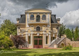 Продажа дома, 500 м2, деревня Борки, деревня Борки, 49