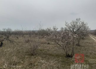 Продажа земельного участка, 160 сот., село Холмовка