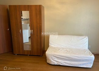 1-комнатная квартира в аренду, 27 м2, Новосибирск, Сиреневая улица, 31, Советский район