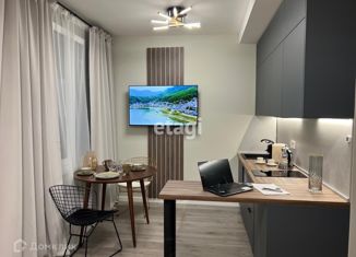 Продажа квартиры студии, 25 м2, Санкт-Петербург, Витебский проспект, 99к1, метро Купчино