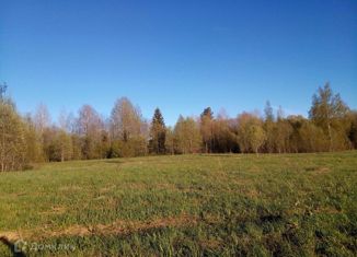 Продажа земельного участка, 50 сот., деревня Большой Двор