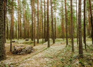 Продаю земельный участок, 200 сот., Красноозёрное сельское поселение