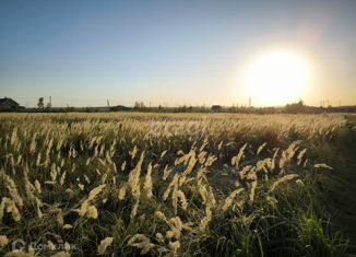 Продаю земельный участок, 10 сот., деревня Губастово