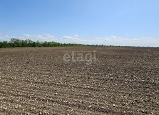 Продам участок, 824.9 сот., село Ароматное