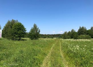 Участок на продажу, 3000 сот., село Белогостицы