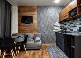 Продаю квартиру студию, 24.8 м2, Краснодар, микрорайон Губернский, улица им. Героя Яцкова И.В., 17к1