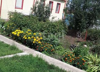 Продается дом, 41.5 м2, село Петровское