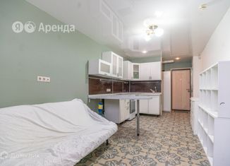 Двухкомнатная квартира в аренду, 40 м2, Москва, Автозаводская улица, 23к7, Автозаводская улица