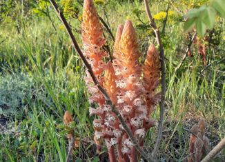 Продажа земельного участка, 4 сот., посёлок Пятихатки, Джеметинская улица, 15