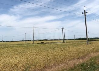 Участок на продажу, 5 сот., хутор Новоалександровка, Луговой переулок