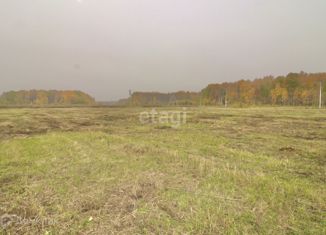 Земельный участок на продажу, 8.1 сот., село Горьковка, Сибирская улица