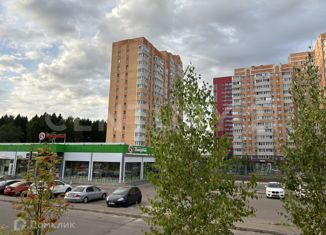 Продаю 1-комнатную квартиру, 48.1 м2, деревня Белкино, Белкинская улица, 46А