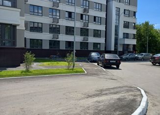 Продаю однокомнатную квартиру, 41.8 м2, Нижний Новгород, метро Чкаловская, Сивашский переулок, 4