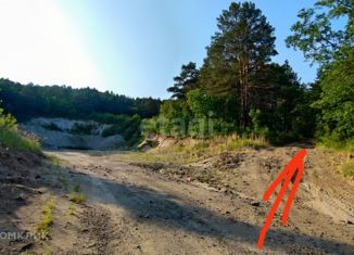 Продаю участок, 300 сот., село Егорьевка