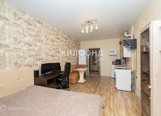 Продаю квартиру студию, 29.4 м2, Новосибирск, Приморская улица, 5, Советский район