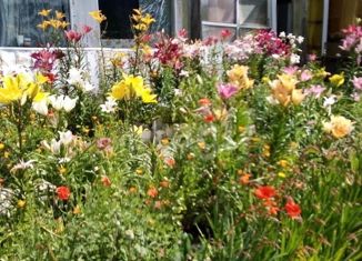 Дом на продажу, 36 м2, Междуреченск