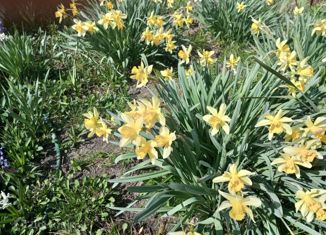 Продаю земельный участок, 6 сот., Ростов-на-Дону, Равнинная улица, Первомайский район