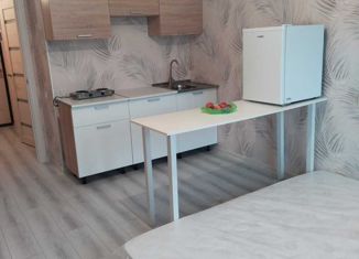 Продается квартира студия, 26 м2, Анапа, Парковая улица, 67к1, ЖК Привилегия