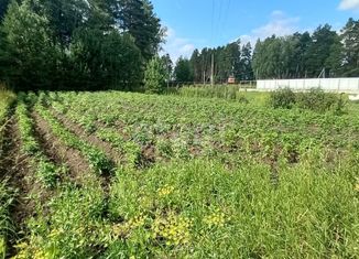 Продается участок, 13.9 сот., посёлок Сосновка, Сосновская улица, 64