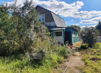 Продаю дом, 50 м2, деревня Назарьево, Центральная улица