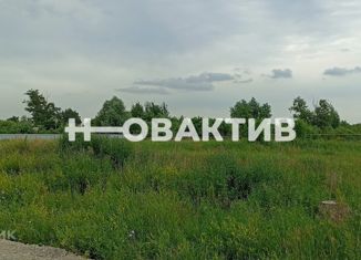 Продажа земельного участка, 5.61 сот., село Красноглинное, улица Мира