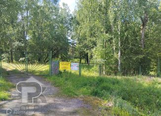 Продаю земельный участок, 1250 сот., деревня Тиликтино