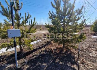 Продажа участка, 8.65 сот., село Богандинское, Раздольная улица, 10