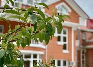 Продажа дома, 350 м2, Сочи, микрорайон Новый Сочи, Виноградная улица, 89/2