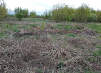 Продаю участок, 10 сот., деревня Протопоповка, Кооперативная улица, 38