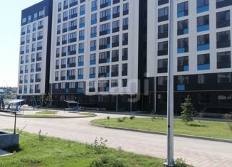 1-комнатная квартира на продажу, 46.6 м2, село Мирное, Живописная улица, 10