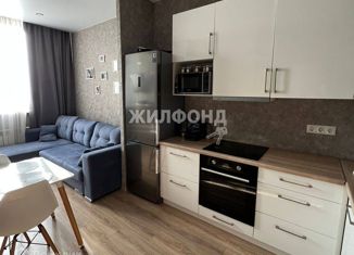 Продается 2-ком. квартира, 41 м2, Новосибирск, улица Аникина, 16, ЖК Шесть Звёзд