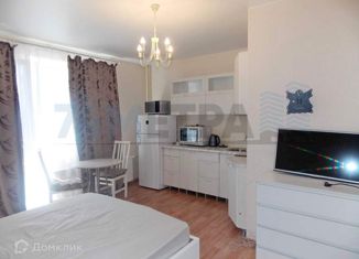 Аренда однокомнатной квартиры, 25 м2, микрорайон Вишнёвая Горка, улица Вишнёвая Аллея, 2