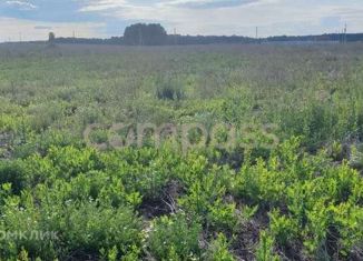 Продам участок, 8.31 сот., село Червишево, Магистральная улица, 2А