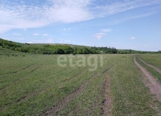 Продажа земельного участка, 1370 сот., село Старобелокуриха