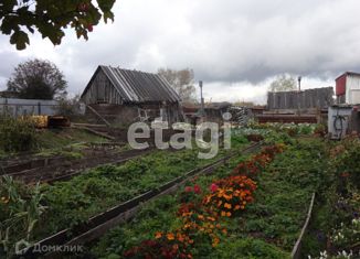 Продается дом, 38 м2, село Бизино, улица Мира