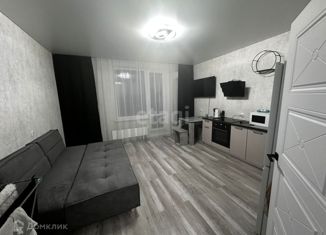 Двухкомнатная квартира на продажу, 45 м2, Татарстан, улица Мансура Хасанова, 13