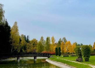 Продажа участка, 45 сот., деревня Чигасово, коттеджный посёлок Чигасово-1, 43