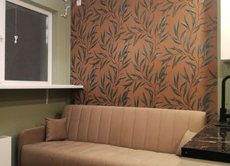 Продается квартира студия, 15 м2, Москва, Рязанский проспект, 5, метро Нижегородская