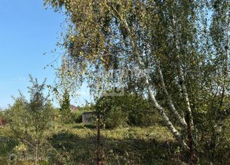 Продаю земельный участок, 12 сот., деревня Николо-Тители, СНТ Берёзки-НТ, 96