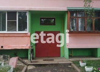 Однокомнатная квартира на продажу, 33 м2, деревня Мермерины, Центральная улица, 12