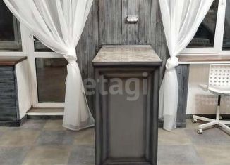 Квартира в аренду студия, 29 м2, Новосибирск, Красный проспект, 96, метро Гагаринская