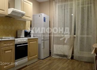 Сдается однокомнатная квартира, 41 м2, Новосибирск, Выборная улица, 144/1, Выборная улица