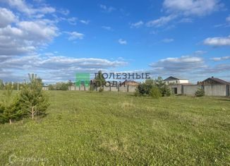 Участок на продажу, 8 сот., деревня Константиновка