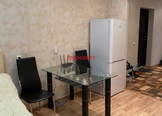 Продам 1-ком. квартиру, 50 м2, Новосибирск, 2-я Обская улица, 154, метро Речной вокзал