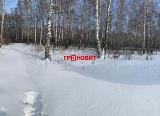 Земельный участок на продажу, 23 сот., рабочий посёлок Краснообск, рабочий посёлок Краснообск, 1