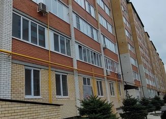 Продажа однокомнатной квартиры, 52 м2, Карачаево-Черкесия, Октябрьская улица, 9В