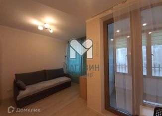 Сдам в аренду квартиру студию, 25 м2, Санкт-Петербург, ЖК Голден Сити, улица Челюскина, 2