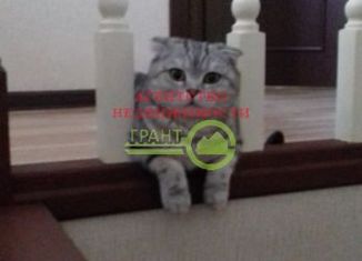 Продается дом, 175 м2, поселок Дубовое