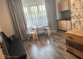 Продам квартиру студию, 17.9 м2, Новосибирск, Троллейная улица, 132, Троллейная улица